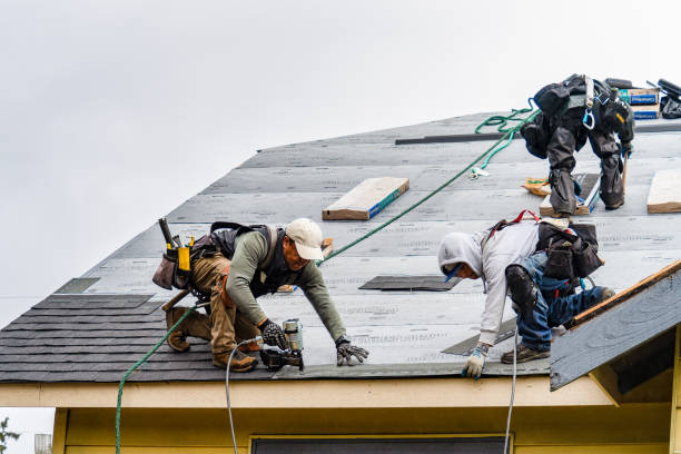 Professional Storm Damage Roof Repair technician working in New Pine Creek, OR